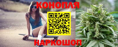 трава Кингисепп