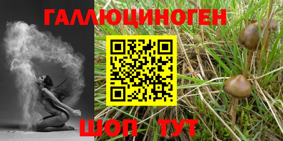 Галлюциногенные грибы Cubensis Кудымкар