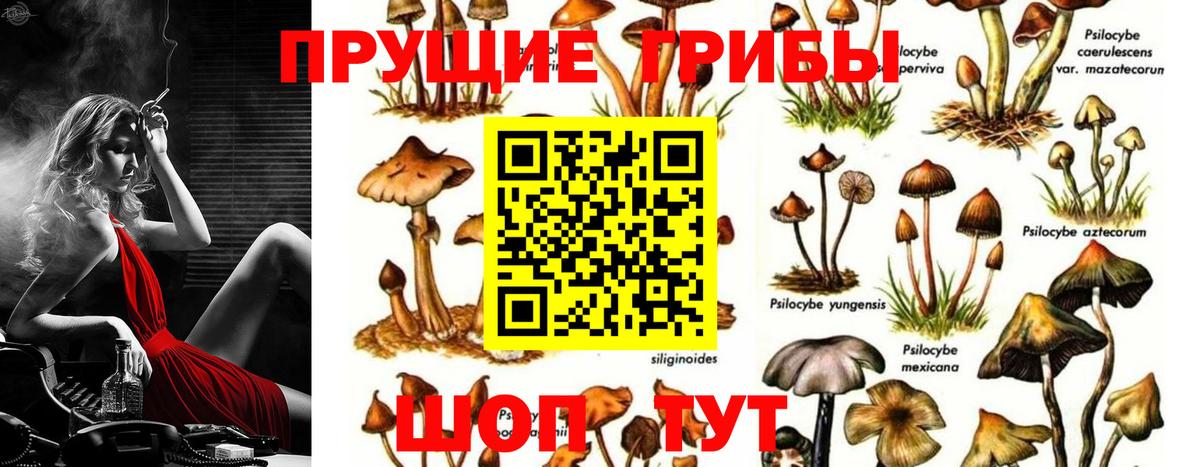 Кудымкар  Псилоцибиновые грибы мухоморы  Вход с VPN 